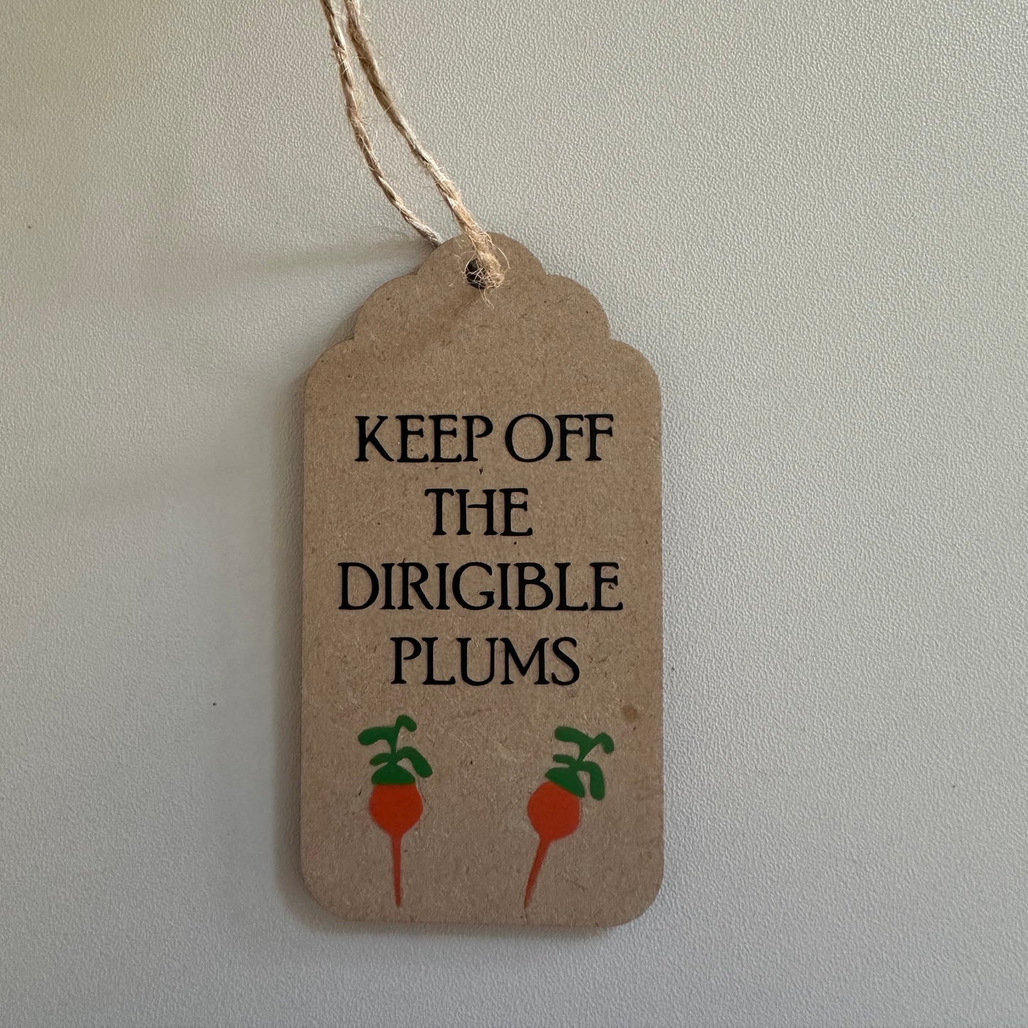 Dirigible Plum Ornament – Magical Decor | Wizard Christmas Gift