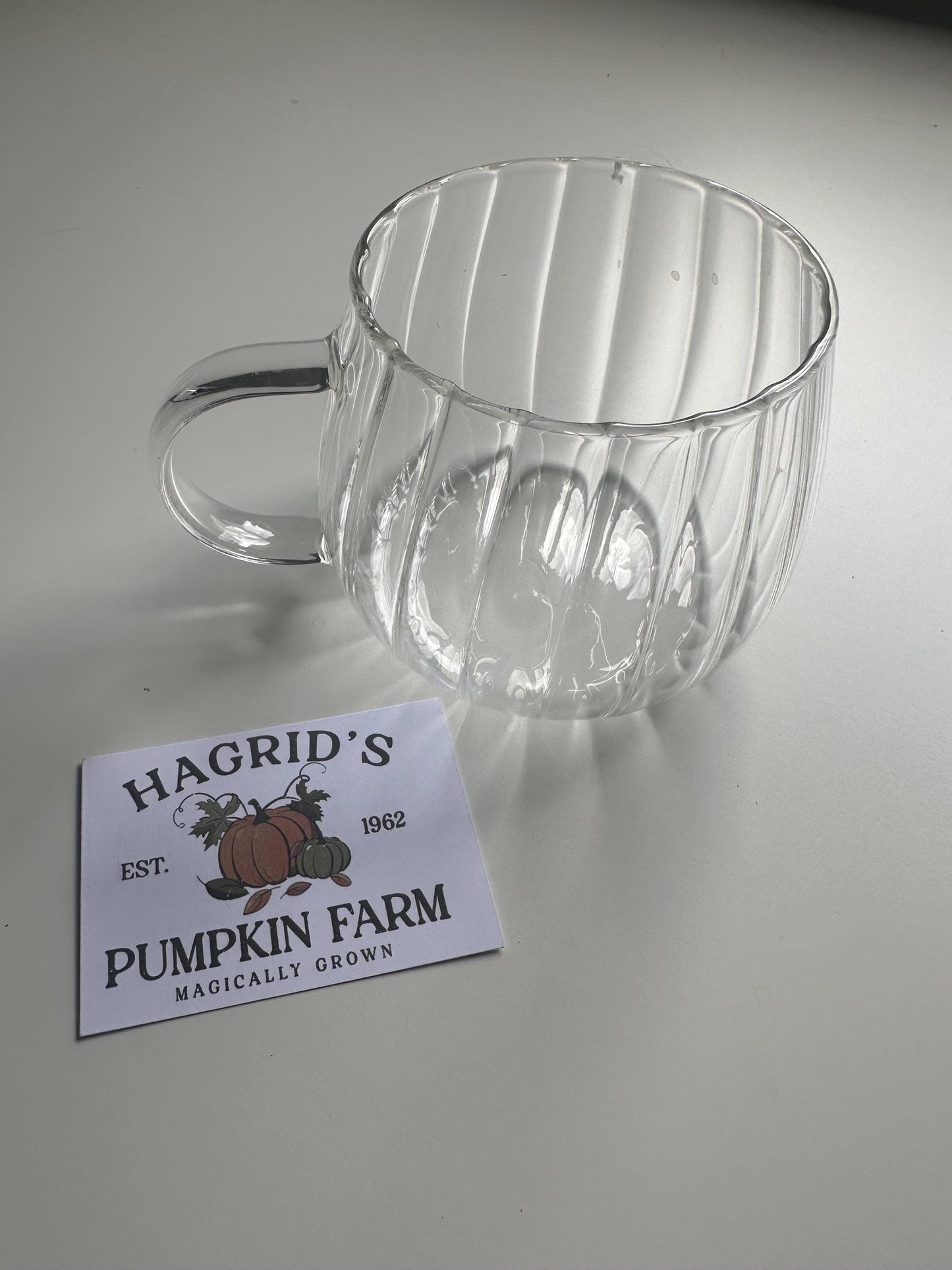Pumpkin glass mug