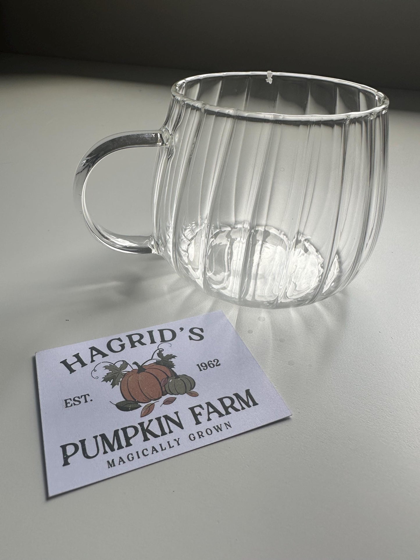 Pumpkin glass mug