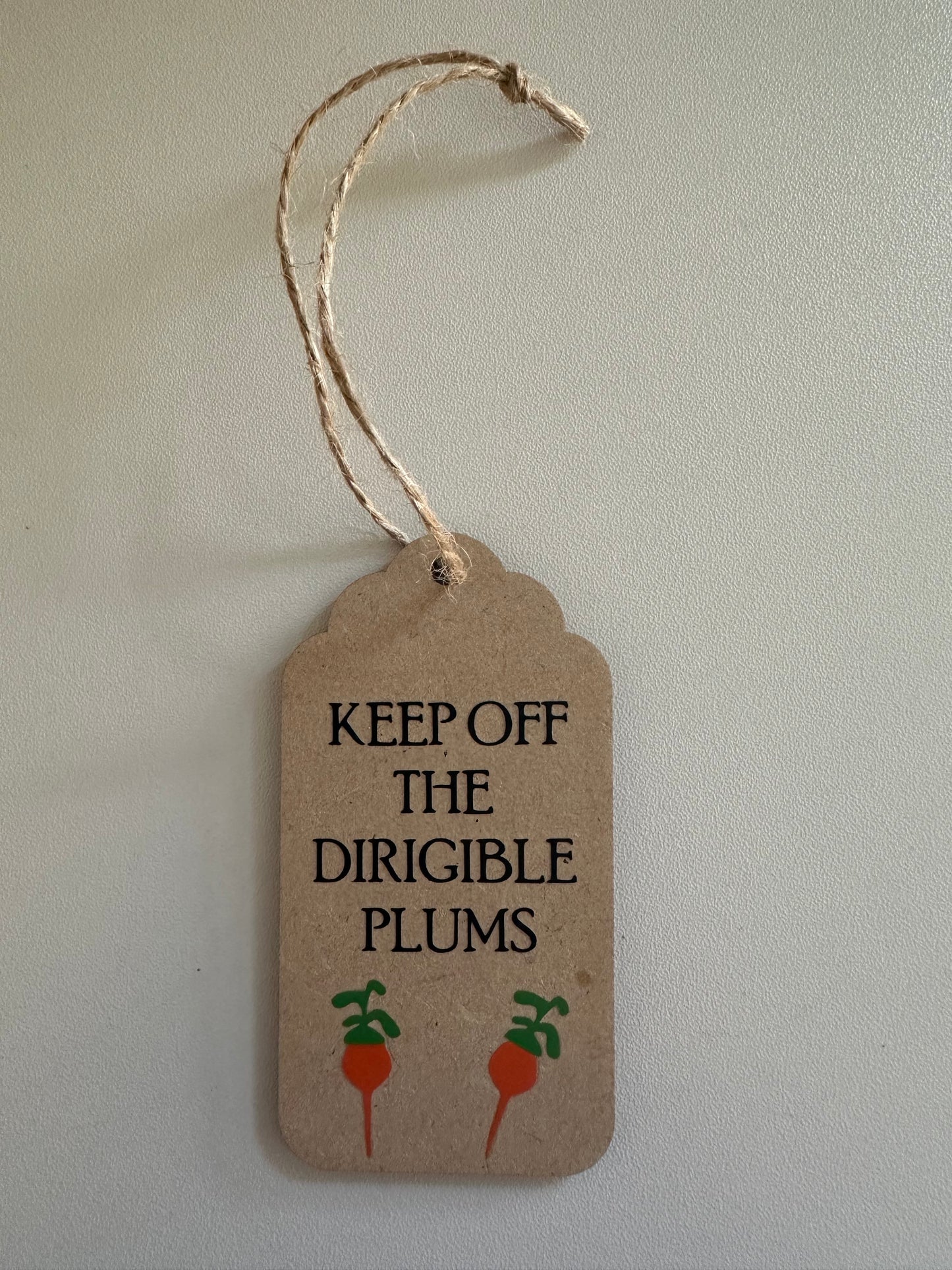 Keep off the dirigible plum ornament