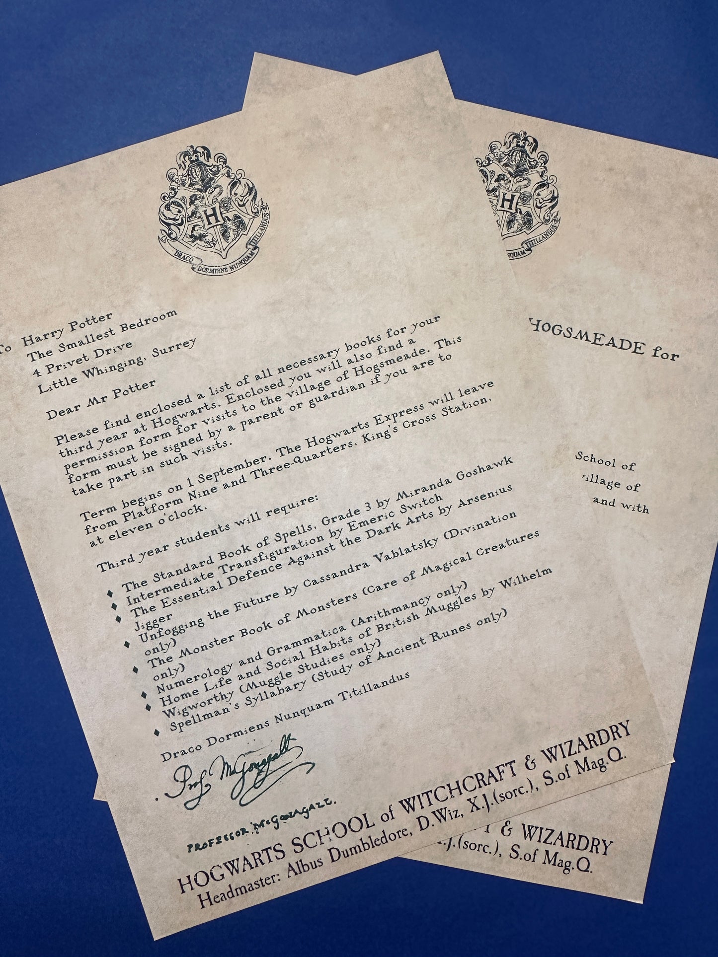 Personalised Wizard Acceptance Letter – Magical School Replica | Custom Fantasy Gift