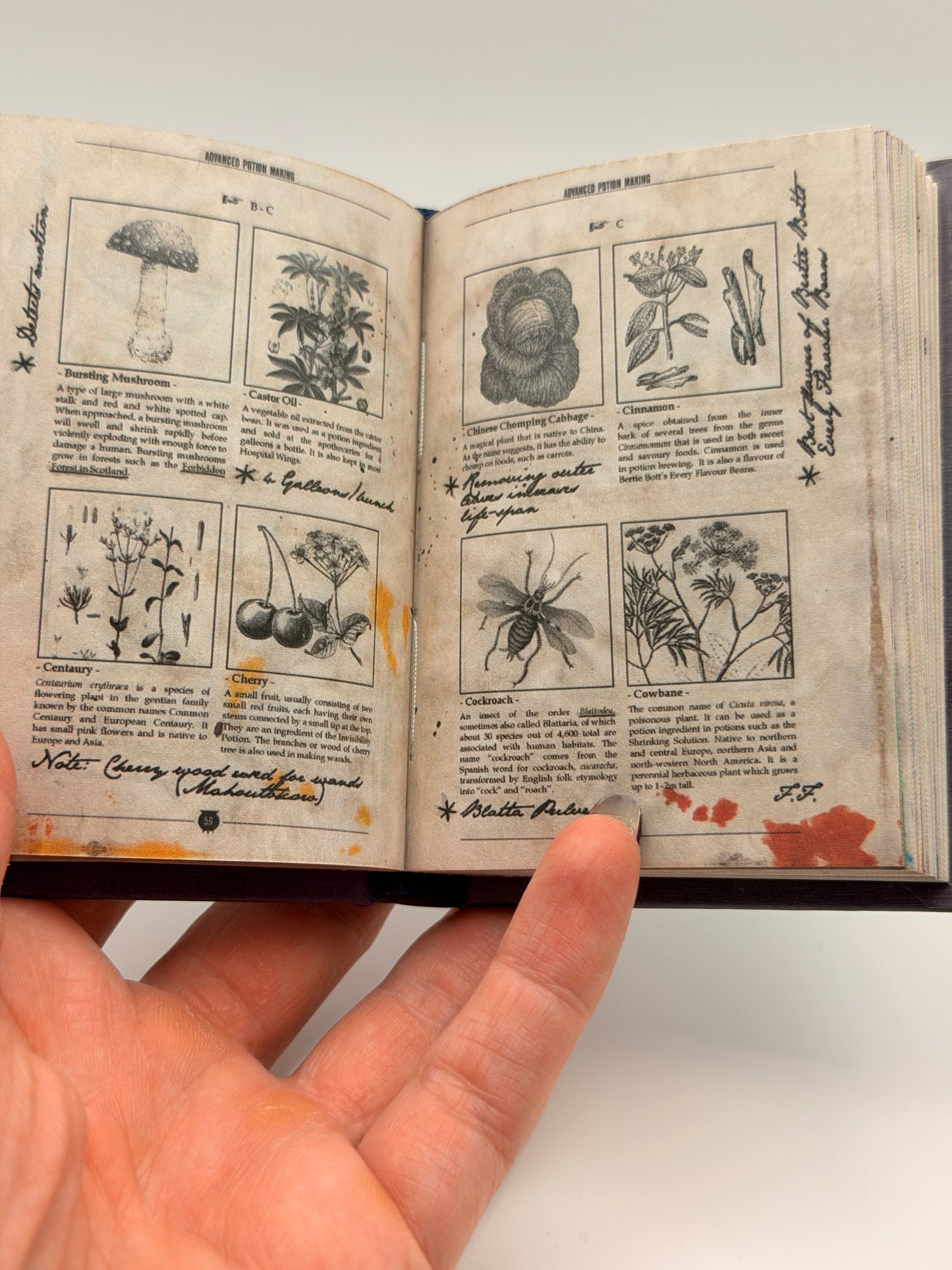 Mini Potion Book – Wizard Spellbook Replica | Fantasy Collectible