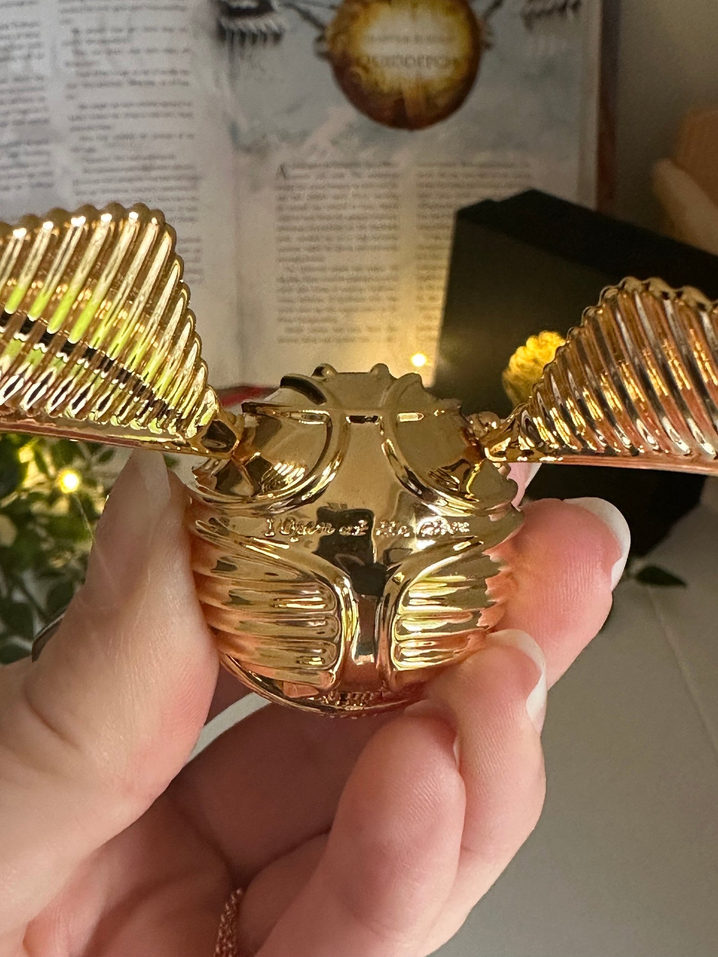 Proposal snitch - ring holder - engagement